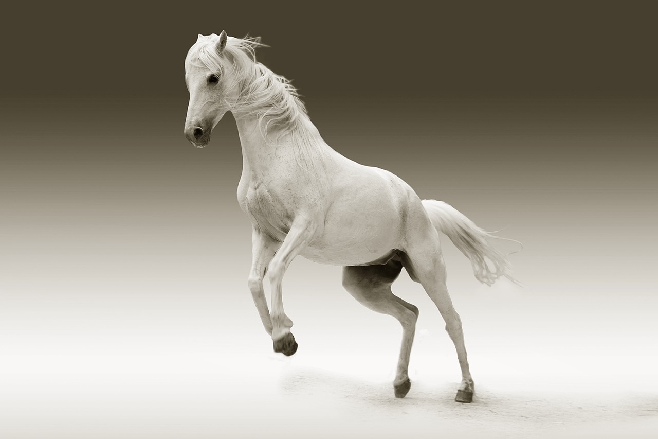 Mastering Horse Drawing: A Comprehensive Guide